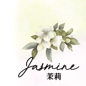 茉莉花天然香薰按摩油